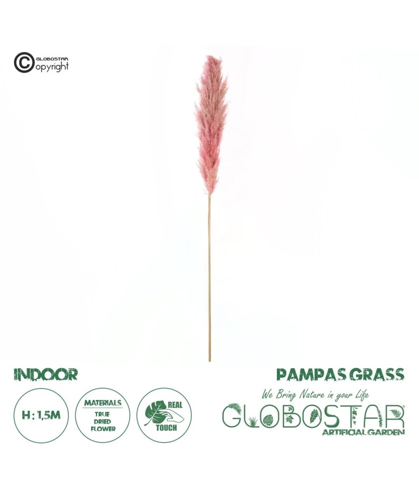 GloboStar® Artificial Garden PAMPAS GRASS 21218 Αποξηραμένο Διακοσμητικό Γρασίδι Πάμπας Μ10 x Π10 x Υ150cm